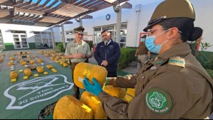 Carabineros del OS7 incauta más de 250 kilos de droga en la Ruta 5 Norte: Cargamento está avaluado en $2 mil millones