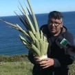 Una denuncia por la extracción ilegal de chaguales, también conocidos como puyas, fue realizada en la localidad de Coliumo, comuna de Tomé, donde desconocidos habrían ingresado durante varias jornadas para cortar y arrancar cientos de estas plantas.