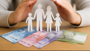 Subsidio Familiar Automático: Así puedes revisar con el RUT si te corresponde el pago