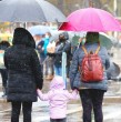 La Dirección Meteorológica de Chile (DMC) entregó su pronóstico del tiempo para estas Fiestas Patrias, revelando si la semana dieciochera estará marcada por el sol o las lluvias.