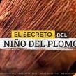 Una investigación científica logró determinar que el niño del Cerro El Plomo sufrió un fuerte golpe en el cráneo antes de morir, descartando la hipótesis de una muerte por hipotermia tras ser sacrificado hace más de 500 años.