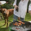 Con la llegada de las Fiestas Patrias, las mascotas también se vuelven protagonistas de las reuniones familiares. Sin embargo, los expertos advierten que varios alimentos típicos de estas celebraciones pueden resultar dañinos para perros y gatos.
