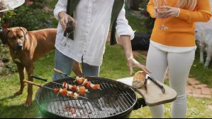 Fiestas Patrias: Los alimentos que no debes darle a tu perro o gato durante el asado