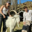 Una particular oportunidad para quienes buscan viajar, conocer nuevos paisajes y trabajar con animales se encuentra disponible en Nueva Zelanda, donde un santuario abrió una convocatoria internacional para recibir voluntarios.