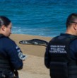 Conoce detalles sobre lo ocurrido este sábado con una foca leopardo que fue vista en la Playa del Deporte de Viña del Mar. La situación obligó la llegada de la Policía Marítima.