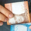 El modelo contempla un Bono de Recuperación y, cuando un hogar agota el monto máximo disponible, un Bono de Sostenibilidad de $375 mil por cada nuevo evento. Conoce quiénes pueden recibir estas ayudas y cómo se determina el monto.