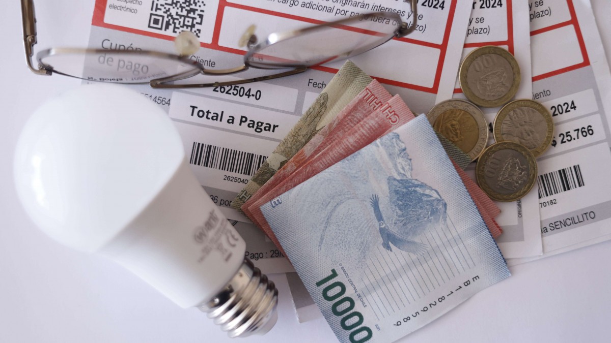 ¿Cuántos pagos entrega el Subsidio Eléctrico?