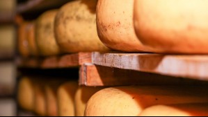 Minsal emite alerta alimentaria por Listeria en queso mantecoso laminado marca Matthei