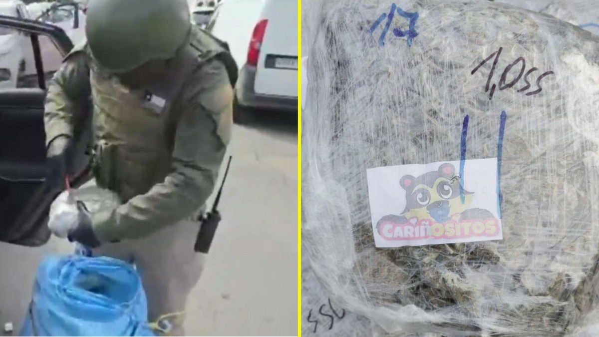 Golpe al narcotráfico antes de Fiestas Patrias: Incautan más de una tonelada de droga que iba a ser vendida en la RM