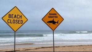 Un hombre muere tras ser atacado por un tiburón en Australia