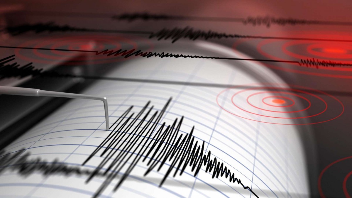 Temblor en la zona central: Estas fueron las intensidades reportadas por Senapred en localidades de Valparaíso, O'Higgins y la RM