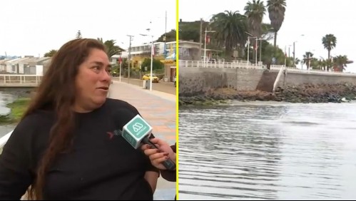 'Nos tratamos de parar de nuevo': Locatarios de Tongoy lamentan la desaparición casi total de la playa Socos tras el temporal