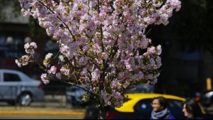 ¿Cuándo comienza la primavera en Chile?: Esta es la hora exacta en que se termina el invierno