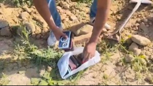 VIDEO | Enterrados en bolsas plásticas: así fue el operativo con que Carabineros recuperó 88 celulares robados en La Pampilla