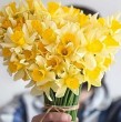 Alonso Monito Vidal tuvo un tierno gesto con su madre, Marité Matus, al regalarle un ramo de flores amarillas, siguiendo una popular tendencia de redes sociales.