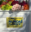Ñuñoa celebrará la llegada de la primavera con Ñuñoa florece, una jornada de entrega gratuita de flores, además de un mercado y música en vivo. Revisa los puntos de la comuna y los horarios en que se realizará la actividad.