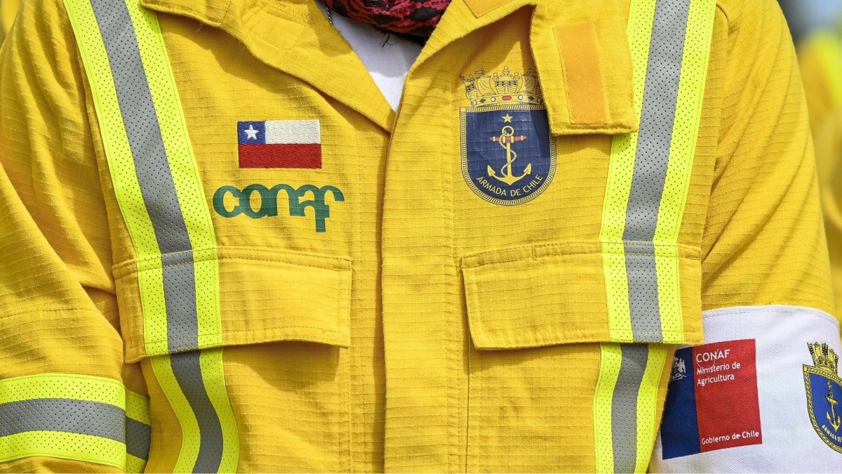 CONAF abre casi 10 mil puestos de trabajo para prevenir incendios forestales: Conoce cómo postular y cuáles son los requisitos