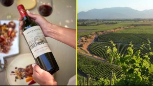 Viña Concha y Toro busca trabajadores: Revisa las ofertas laborales disponibles y cómo postular