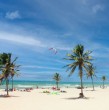 Una particular oportunidad para quienes buscan viajar y conocer Brasil abrió una convocatoria para voluntarios que quieran trabajar en un hostal a cambio de alojamiento, almuerzo y tiempo libre.