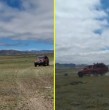 Registros captaron a una camioneta ingresando por un sector no habilitado y pasando directamente sobre una zona donde comienza a brotar el desierto, en el kilómetro 720 de la Ruta 5 Norte, en la comuna de Vallenar. ¡Detalles!
