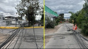 Camión derriba varios postes y causa daños en viviendas en La Florida