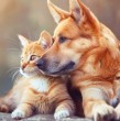 En el marco del Día Mundial contra la Rabia, el ministerio de Salud realizará jornadas de vacunación para perros y gatos en 14 regiones del país. Revisa las fechas y punto en donde se llevará a cabo.