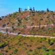 Un esperado proyecto de áreas verdes en la Región Metropolitana podría avanzar luego de que el Gobierno comenzara a buscar una fórmula para financiar su apertura. El ministro de Vivienda, Iván Poduje, entregó detalles de la iniciativa.
