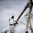 Revisa en detalle cuáles son las comunas que tienen cortes de luz para este sábado 3 de octubre. Esto se debe a trabajos programados por Enel, los que pueden extenderse por varias horas.