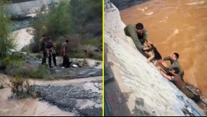 Video: Carabineros rescata a perrito que estaba atrapado en un islote del río Mapocho