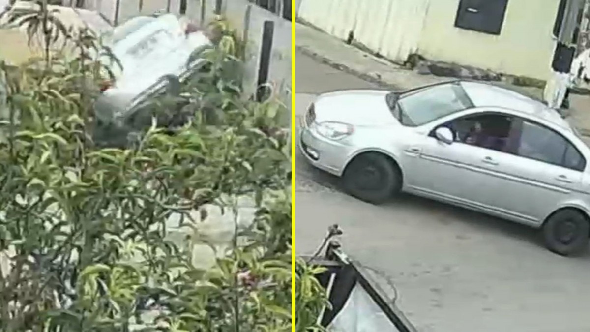 Conductora no tenía licencia: Video muestra el momento en que un auto cae al interior de una casa en Viña del Mar