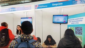 Comienza Feria Virtual Laboral del Sence: Así puedes participar para acceder a un trabajo