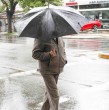 Un sistema frontal dejará precipitaciones moderadas a fuertes entre las regiones de Coquimbo y O\\\'Higgins, de acuerdo con la Alerta Meteorológica emitida este lunes 5 de octubre.