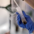 Una joven científica falleció en Siberia tras contagiarse por la rotura de un tubo de ensayo. Casi 200 personas permanecen aisladas por prevención luego del incidente.