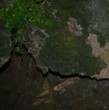 Un deslizamiento de tierra afectó una vivienda en Cerro Alegre tras las intensas lluvias en Valparaíso. La familia perdió parte de sus pertenencias y teme que el terreno vuelva a ceder.