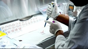 Rusia niega haber ordenado restricciones por supuesto caso de peste neumónica