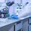 Conoce detalles sobre la solicitud que hizo la Organización Mundial de la Salud (OMS) a las autoridades de Rusia por el caso mortal de una científica  en un laboratorio contra la peste.