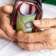 Revisa en detalle cómo consultar si tienes dinero de la PGU sin cobrar. El trámite se puede realizar en una plataforma, ingresando algunos datos personales del beneficiario.
