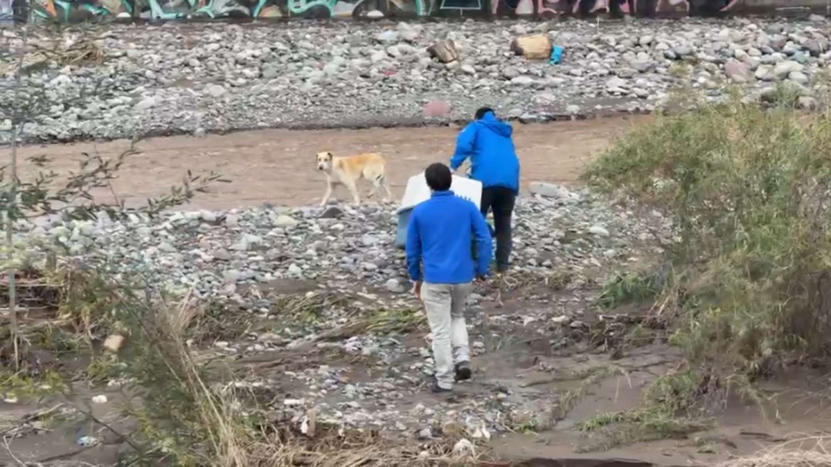 Complejo rescate de perrito en el río Mapocho: Equipos trabajan para sacarlo de la ribera en Las Condes