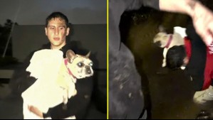 Jóvenes rescataron a dos perros durante aluvión en Las Condes: uno tenía cáncer y el otro diabetes
