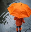 Un nuevo sistema frontal avanzará hacia la zona central del país durante las próximas horas y llegará a la RM la noche del domingo. La meteoróloga de Megatiempo, Catalina Cortés, explicó que las precipitaciones se extenderán durante varios días.