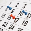 Este lunes 12 de octubre, feriado en el que se conmemora la llegada de Cristóbal Colón a América en 1492, finaliza el penúltimo fin de semana largo del año. Conoce los feriados que restan.
