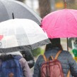 La meteoróloga de Megatiempo, Catalina Cortés, entregó su pronóstico para este lunes 12 de octubre en la Región Metropolitana, anunciando lluvias e incluso tormentas eléctricas en algunos sectores.