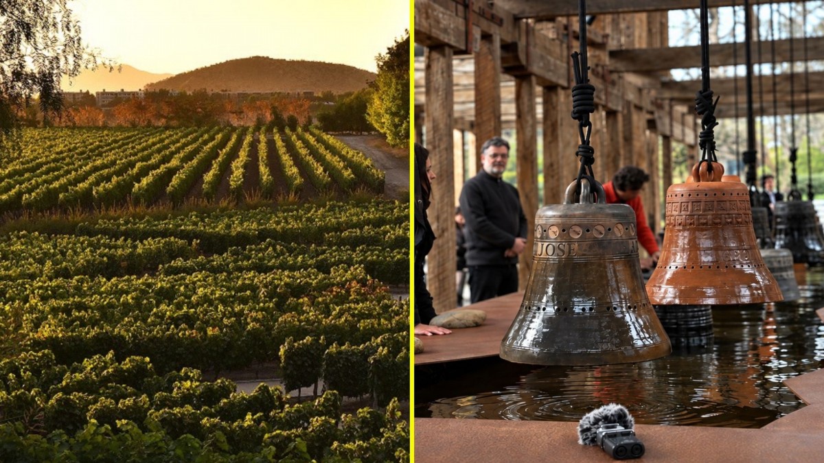 Centro del Vino nacional gana el "Oscar" del turismo: Fue elegido el mejor de Sudamérica en su categoría