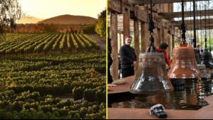 Centro del Vino nacional gana el 'Oscar' del turismo: Fue elegido el mejor de Sudamérica en su categoría