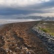 Un refrigerador, neumáticos y diversos residuos aparecieron en la playa de Llolleo tras las lluvias. Conoce de dónde proviene la basura y por qué cuesta retirarla.