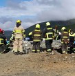 Un trabajador de 66 años falleció tras caer al interior de una máquina chancadora en una planta de procesamiento de minerales de Illapel. Carabineros investiga las causas del accidente.