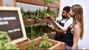 Expo Jardines 2026 llega por primera vez al Parque Bicentenario: Así puedes conseguir entradas