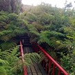 Una oferta de voluntariado en Maullín permite alojarse en una tiny house en medio del bosque a cambio de colaborar en tareas de cosecha, jardinería y bioconstrucción. Revisa qué incluye la experiencia, sus requisitos y cómo postular.