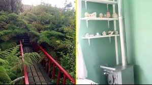 Ofrecen alojamiento gratis en el sur de Chile a cambio de colaborar en un proyecto ecológico: Estos son los requisitos