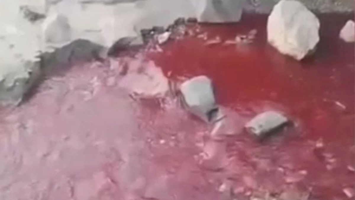 Misterio por las aguas rojas en Tomé: Detectan toxicidad en el estero, pero no logran identificar su origen